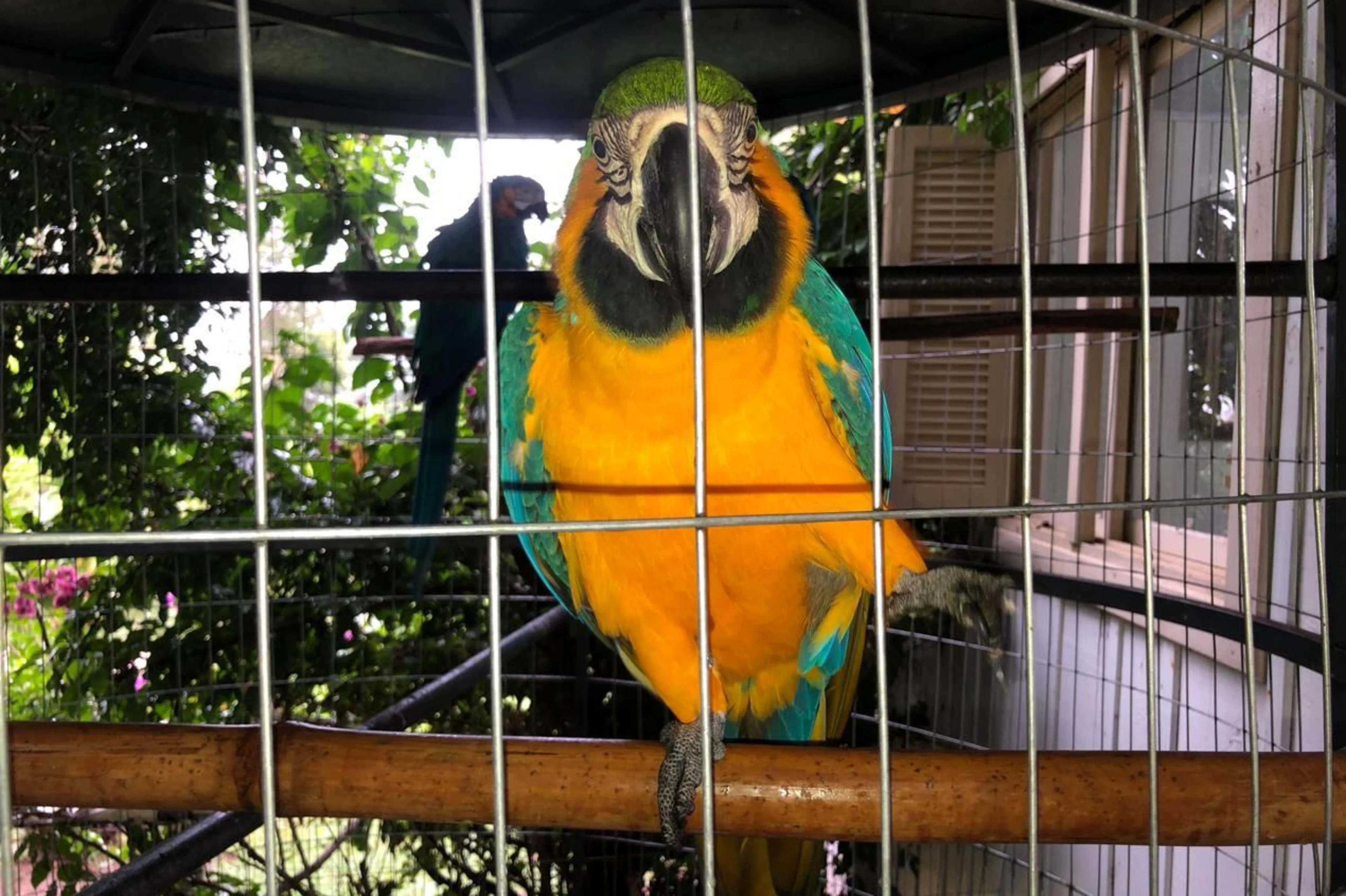 Batalhão Ambiental da Brigada Militar/Divulgação