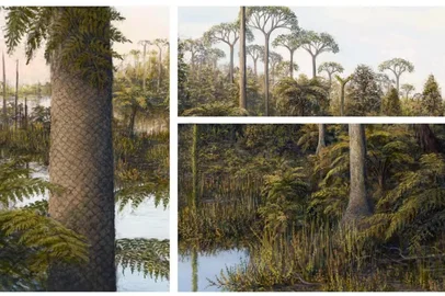 Fósseis de plantas com mais de 260 milhões de anos foram descritos por paleontólogos da Universidade Federal do Pampa (UNIPAMPA) em um artigo publicado na revista científica Journal of South American Earth Sciences. <!-- NICAID(16014130) -->