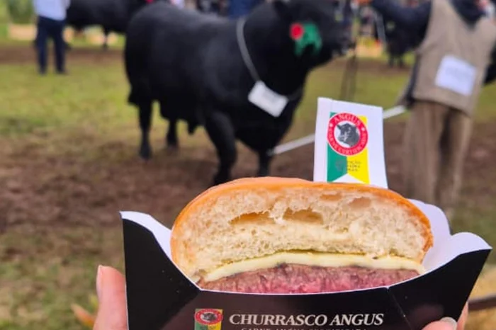 Associação Brasileira de Angus / Divulgação Associação Brasileira de Angus / Divulgação