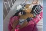Uma bebê morreu depois de 30 dias aguardando um leito; quem vai responder por isso?