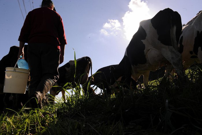 Marcelo Casagrande / Agencia RBS