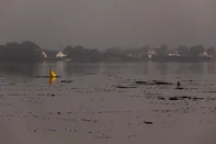 PORTO ALEGRE, RS, BRASIL, 26-07-2026: Nível do Guaíba baixa após trégua da chuva que atingiu o Rio Grande do Sul na última semana. Na região da Usina do Gasômetro, a correnteza leva detritos em direção a Lagoa dos Patos. A Defesa Civil emitiu alerta para tempestades severas e risco de inundações entre domingo e terça-feira no estado. Foto: Bruno Todeschini/Grupo RBS<!-- NICAID(16334073) -->