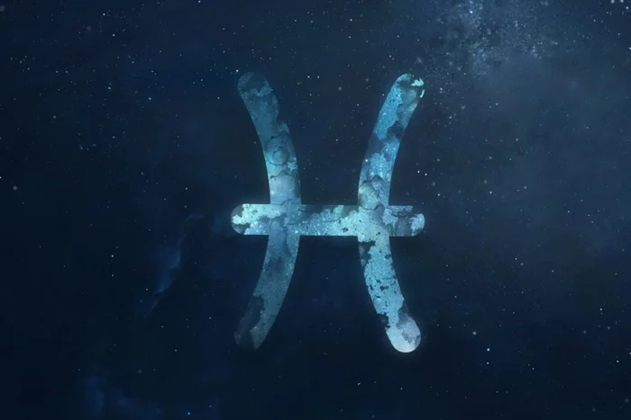 Dima Zel / Shutterstock | Portal EdiCase