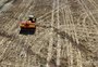Área plantada com trigo deve ser 10% menor nesta safra de inverno no RS; entenda