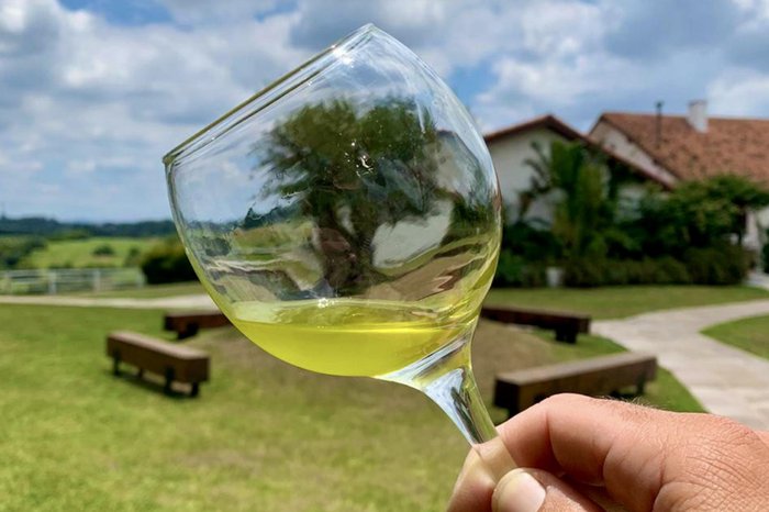 Estância das Oliveiras / Divulgação