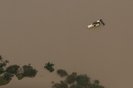 Eldorado, RS, Brasil, 03-05-2024: Imagem aerea de alagamento em Eldorado do Sul. Foto: Mateus Bruxel / Agencia RBSIndexador: Mateus Bruxel<!-- NICAID(15753607) -->