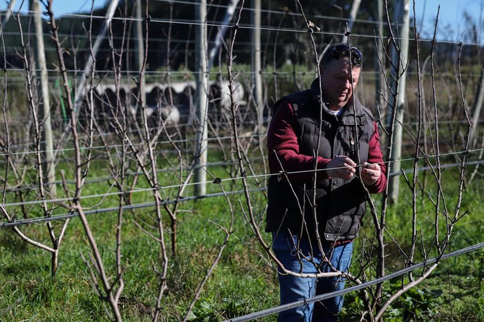 Bruno Todeschini / Agencia RBS