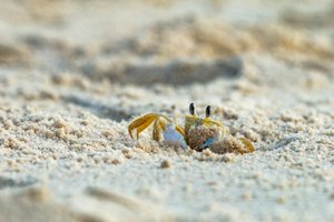 Daniela Martins M. Oliveira / Arquivo Pessoal