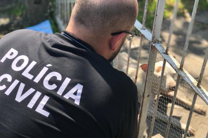 Polícia Civil / Divulgação Polícia Civil / Divulgação