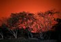 FOTOS: fogo e fumaça predominam na paisagem de cidades do Brasil, Bolívia e Alemanha nesta segunda
