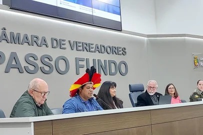 Audiência pública divulga estudo sobre aldeia indígena Goj-Jur de Passo Fundo<!-- NICAID(15463058) -->