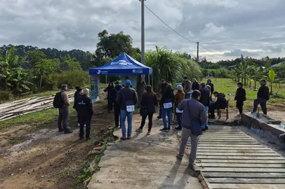 Divulgação / Embrapa projeo embrapa<!-- NICAID(16290139) -->