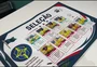 Álbum transforma animais de estimação em ídolos e arrecada recursos para castrações