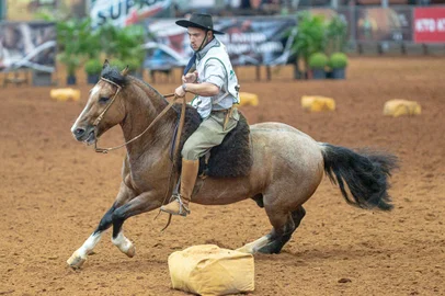Bocal de Ouro entre os machos, Leopardo da GAP São Pedro-TE. Foto: Maurício Vinhas / ABCCC / Divulgação<!-- NICAID(15422043) -->
