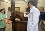 Cavalo Caramelo é microchipado no Hospital Veterinário da Ulbra