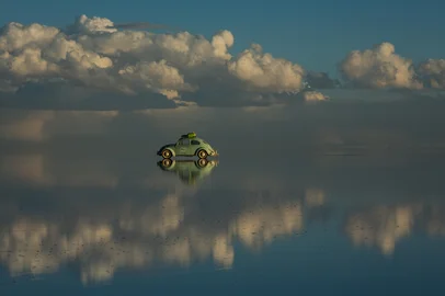 fusca <!-- NICAID(16269463) -->