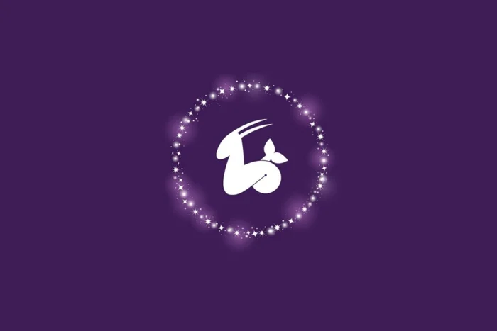 Kachalova Kseniia / Shutterstock | Portal EdiCase