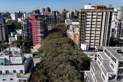 PORTO ALEGRE, RS, BRASIL, 12-08-2025: A rua de Porto Alegre conhecida como "a rua mais bonita do mundo".  Em 2006, a rua Gonçalo de Carvalho foi decretada Patrimônio Histórico, Cultural, Ecológico e Ambiental pelo município - foi a primeira rua a receber esse título em Porto Alegre. A Gonçalo é o primeiro túnel verde oficial do município. Fotos: Duda Fortes/Agencia RBS<!-- NICAID(16100000) -->