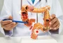 Câncer colorretal: entenda o impacto do consumo de ultraprocessados na saúde intestinal
