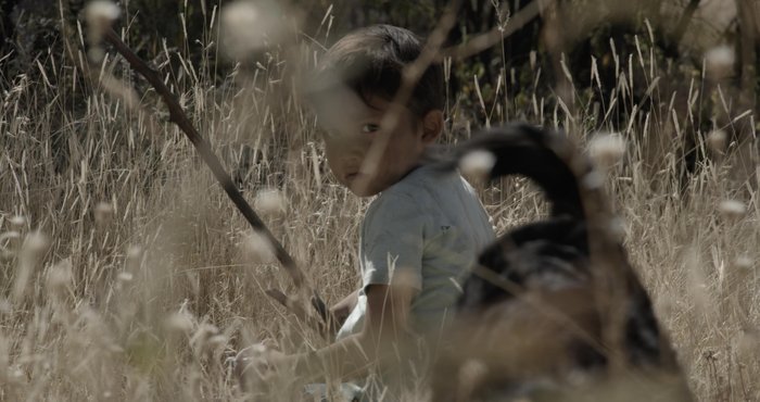 Forge / Divulgação Forge / Divulgação