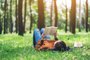 A beautiful Asian woman lying and reading a book in the park Fonte: 283844809<!-- NICAID(15140806) -->
