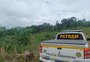 Polícia flagra mais de 6,3 hectares de desmatamento no norte do RS 