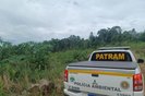 Polícia flagra mais de 6,3 hectares de desmatamento no norte do RS Foto: 3º BABM / Divulgação <!-- NICAID(15619061) -->