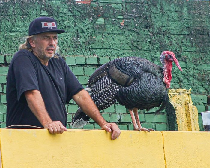 Pablo Nunes / Ypiranga, Divulgação Pablo Nunes / Ypiranga, Divulgação