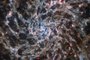 galáxia IC 5332 WebbFonte: ESA/Webb<!-- NICAID(15218405) -->