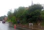 Temporal causa bloqueios por queda de árvores e deslizamentos em vias de Porto Alegre