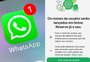 Nome de usuário no WhatsApp aumenta o risco de golpes? Veja o que dizem especialistas e como criar o seu