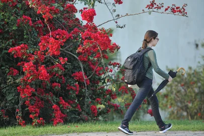 SANTA MARIA , RS , BRASIL , 22/09/2015Chegada da Primavera em Santa Maria FOTO JEAN PIMENTEL / AGÊNCIA RBS , GERAL<!-- NICAID(11703678) -->
