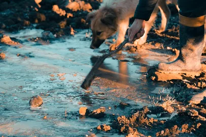SÃO JOSÉ DOS AUSENTES, RS, BRASIL, 30/06/2024. Como é a vida com o frio de São José dos Ausentes. Nas fotos, Henrique Pereira, Marizete de Souza Pereira e sua filha Milena de Souza Pereira. Agroindústria Queijaria Souza Pereira (Neimar De Cesero/Agência RBS)Indexador: Neimar De Cesero<!-- NICAID(15801713) -->