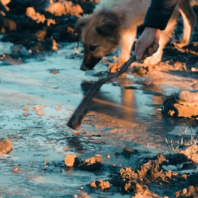 SÃO JOSÉ DOS AUSENTES, RS, BRASIL, 30/06/2024. Como é a vida com o frio de São José dos Ausentes. Nas fotos, Henrique Pereira, Marizete de Souza Pereira e sua filha Milena de Souza Pereira. Agroindústria Queijaria Souza Pereira (Neimar De Cesero/Agência RBS)Indexador: Neimar De Cesero<!-- NICAID(15801713) -->