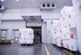 RS recebe 356 mil doses da vacina contra a gripe