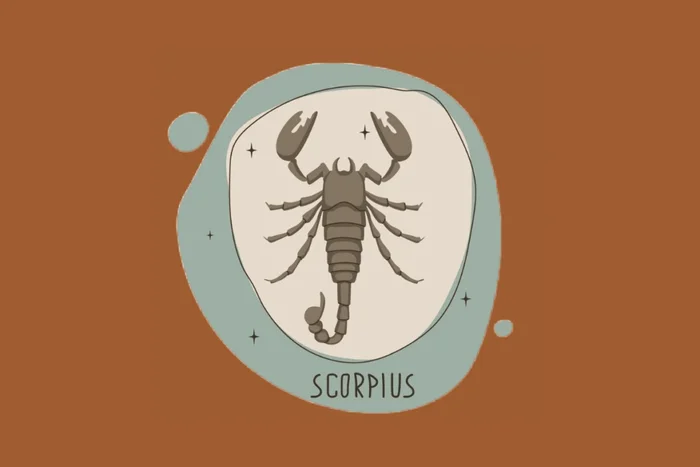 eto100ya / Shutterstock | Portal EdiCase