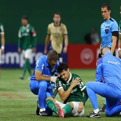 Raphael Veiga, futebol, Palmeiras