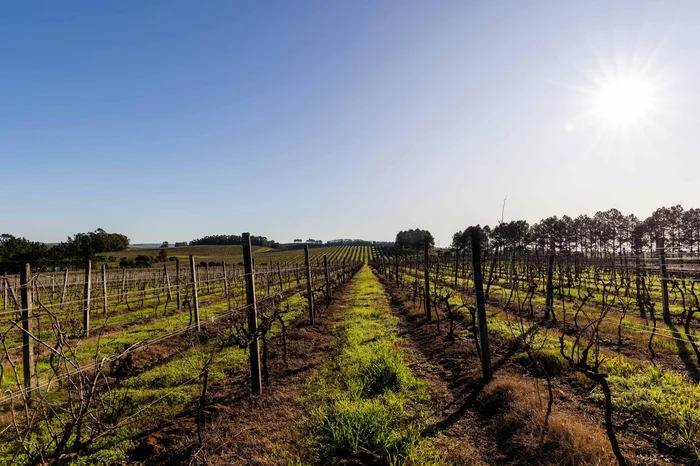 Emerson Ribeiro / Divulgação