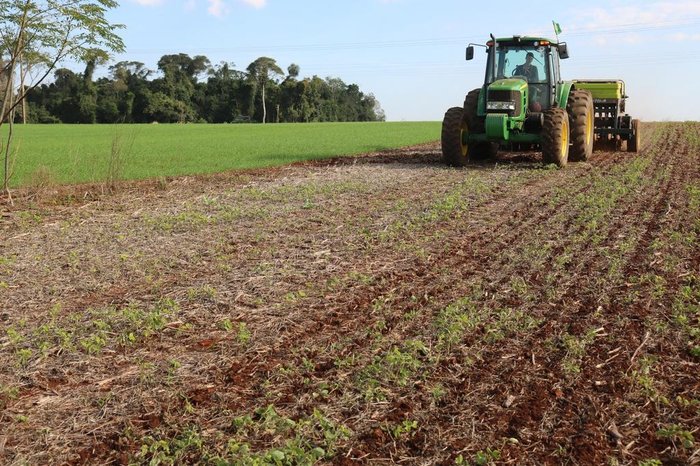 José Schafer / Emater/ Divulgação