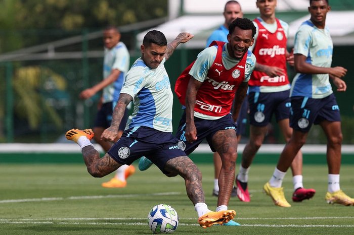 Cesar Greco / Palmeiras/Divulgação Cesar Greco / Palmeiras/Divulgação