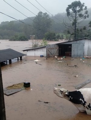 Marines Trevizan / Arquivo Pessoal Marines Trevizan / Arquivo Pessoal