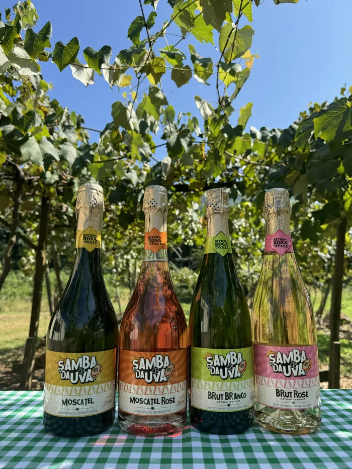 Primeira mulher negra à frente de uma vinícola no RS inova com 