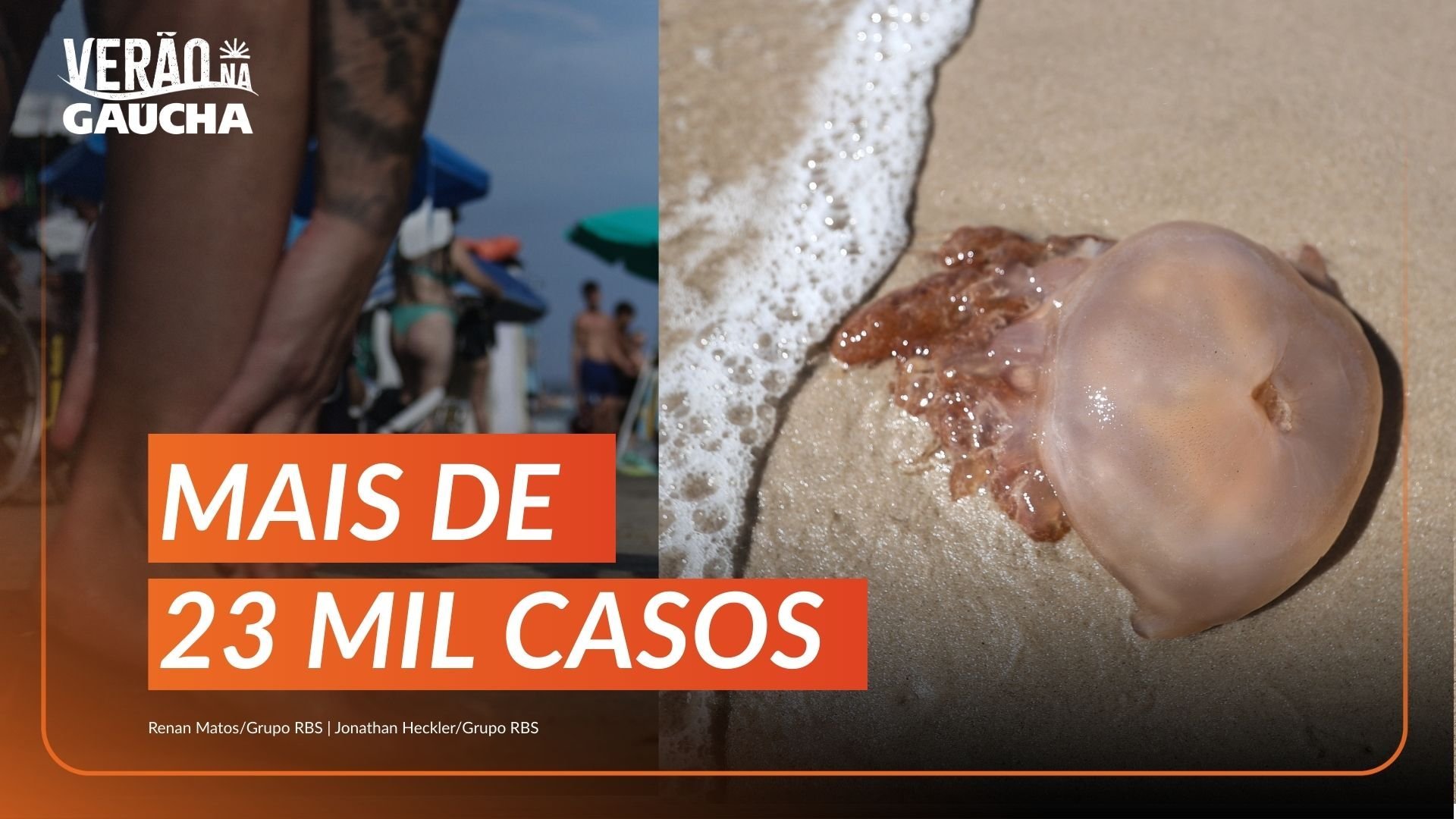 Por que o Rio Grande do Sul tem tantas &aacute;guas-vivas? O que fazer em caso de queimadura?