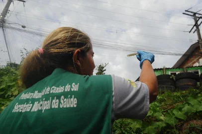CAXIAS DO SUL, RS, BRASIL, 04/04/2024. Ação de fiscalização da Secretaria Municipal da Saúde, no bairro Reolon, em áreas com possíveis focos de dengue. (Bruno Todeschini/Agência RBS)Indexador: BTK<!-- NICAID(15725658) -->