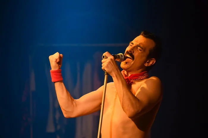 Mauricio Concatto / Divulgação Mauricio Concatto / Divulgação