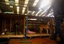 Prefeitura de Porto Alegre deve abrir local para acolher animais resgatados e aliviar abrigos voluntários