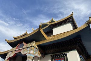 Rosane Tremea / Arquivo Pessoal Rosane Tremea / Arquivo Pessoal