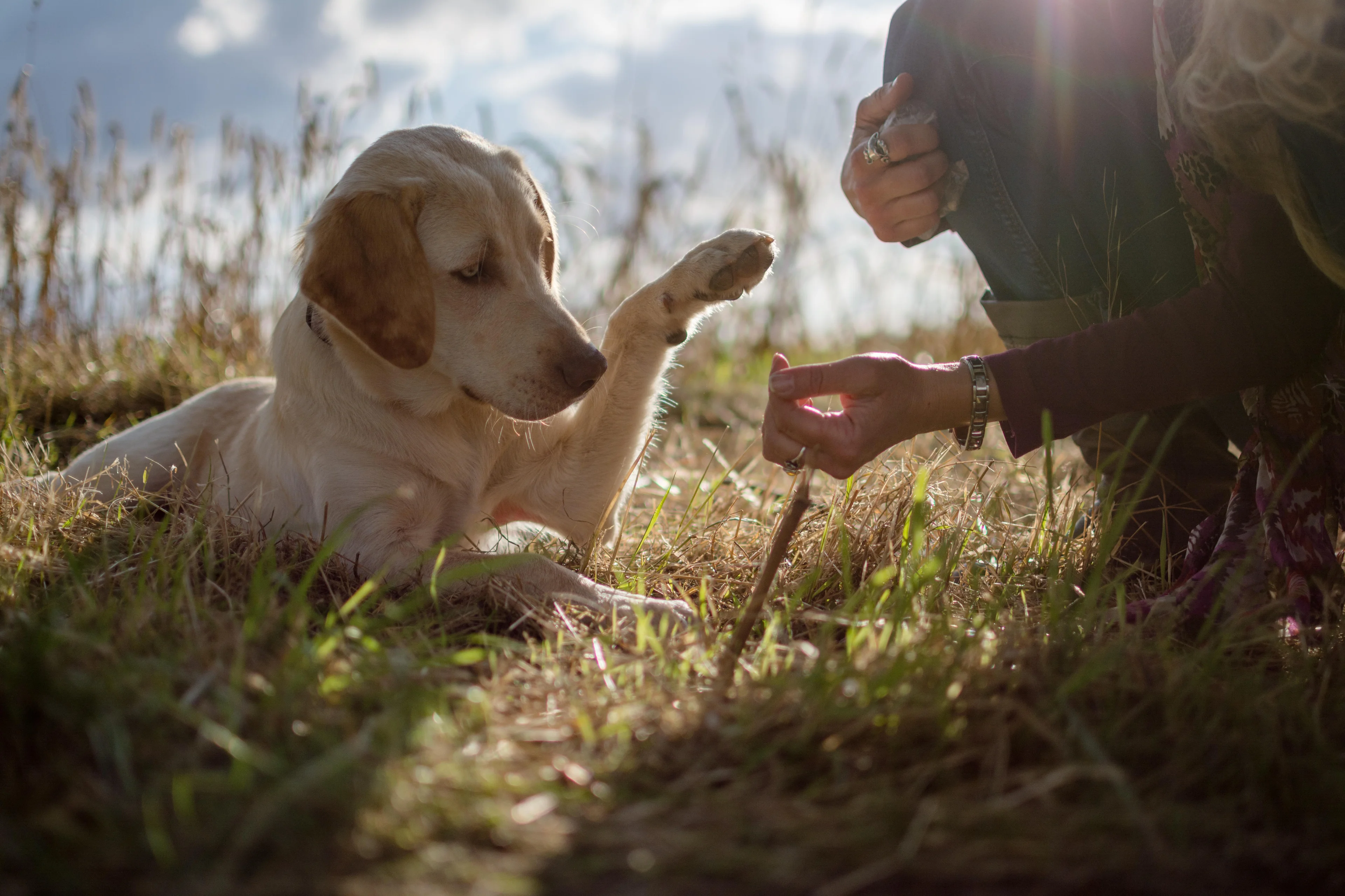 tierfotosheinig/stock.adobe