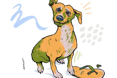 Ilustração de Charles Segat para a crônica "O vira-lata caramelo chamado Brasil", de Nivaldo Pereira, a ser publicada na edição dos dias 23 e 24 de agosto, no caderno Almanaque.<!-- NICAID(16107513) -->