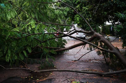 Estragos do temporal em Porto Alegre. Na foto rua Dona Leonor, bairro Rio Branco -  Foto: Ivan Pacheco/Agencia RBS<!-- NICAID(15711810) -->